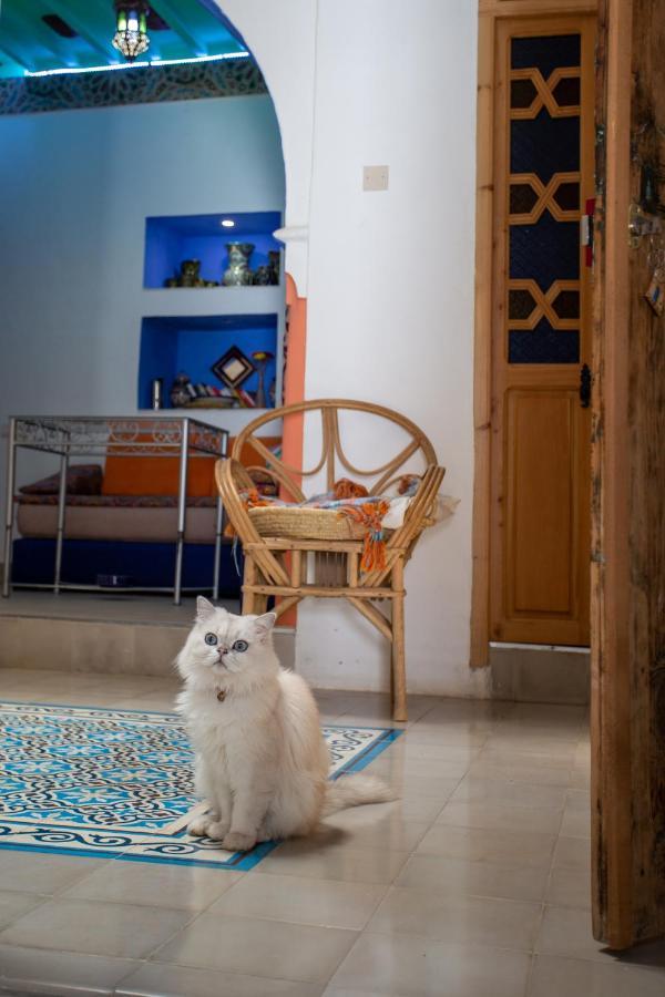 Hotel Casa Miguel Şafşavan Dış mekan fotoğraf